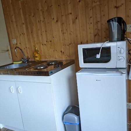 Au Petit Chalet D'Illiers Combray - Salle D'Eau Uniquement Kültér fotó