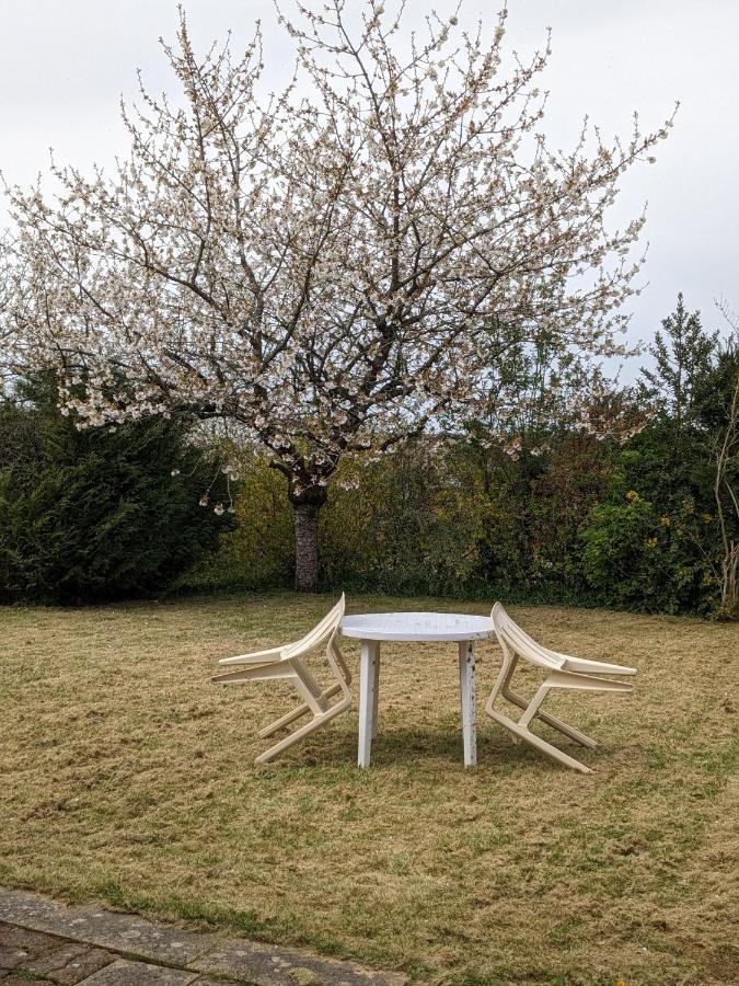 Au Petit Chalet D'Illiers Combray - Salle D'Eau Uniquement Kültér fotó